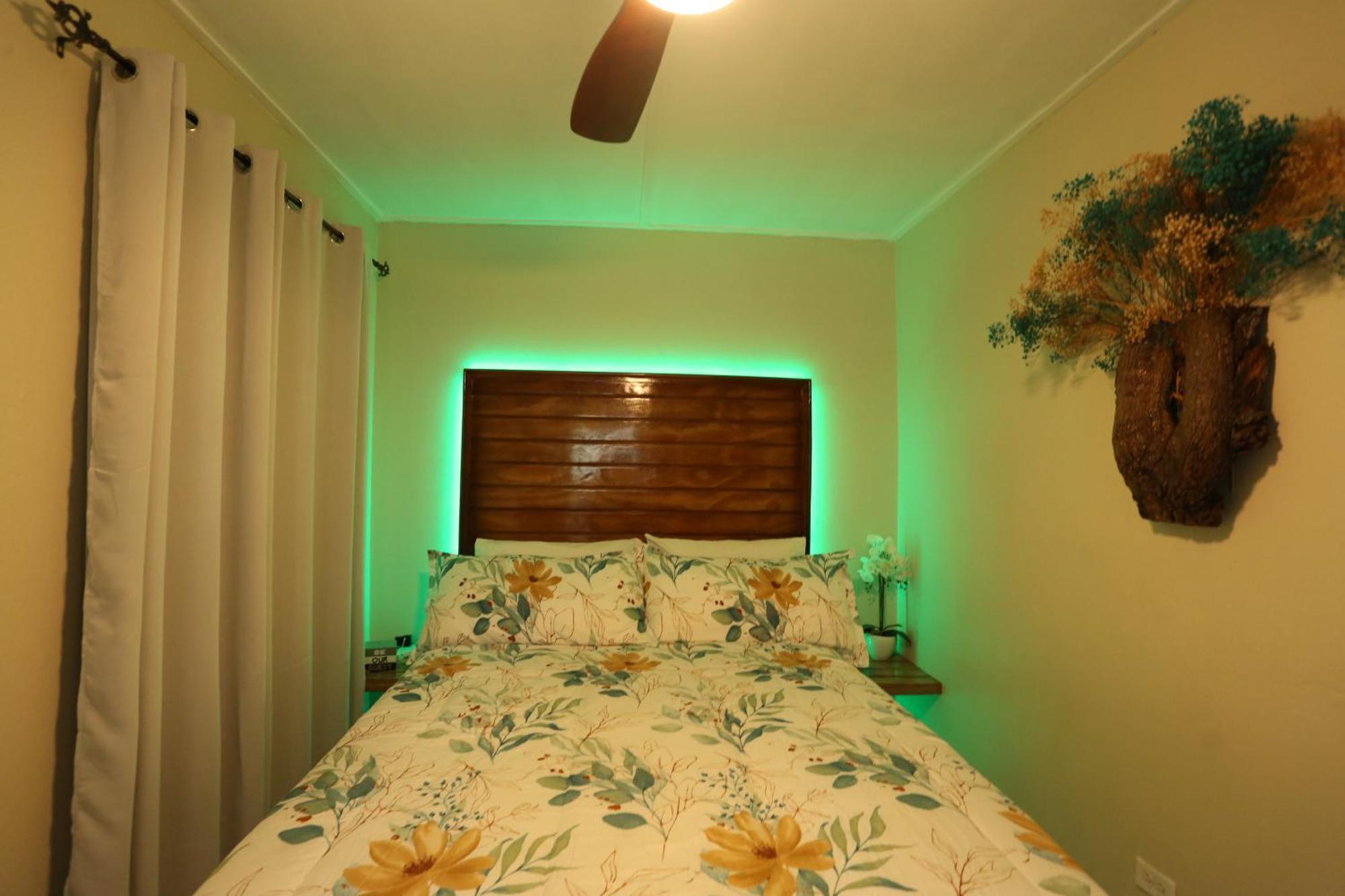 Hidden Gem Apartment คิงส์ตัน ภายนอก รูปภาพ