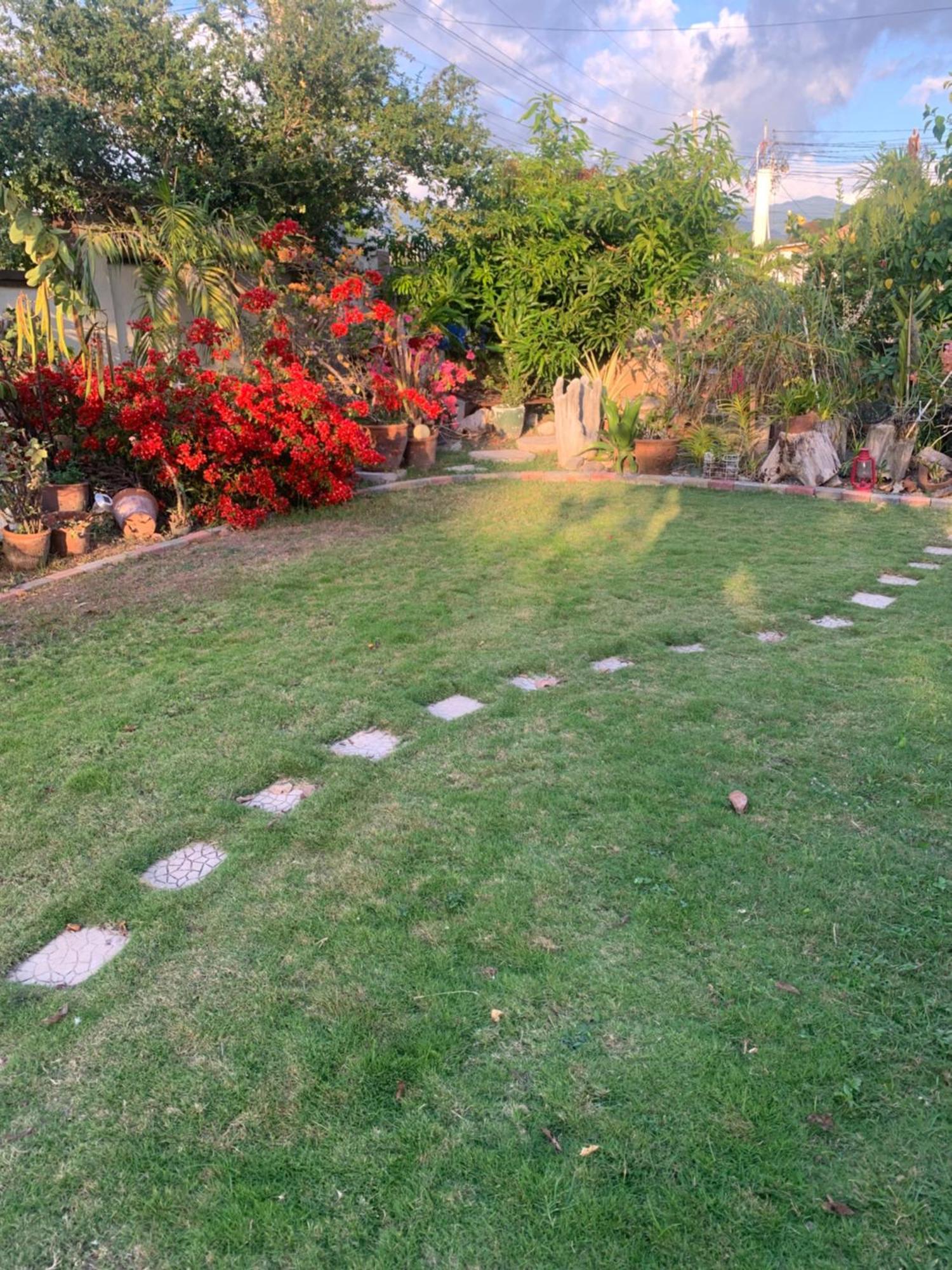 Hidden Gem Apartment คิงส์ตัน ภายนอก รูปภาพ