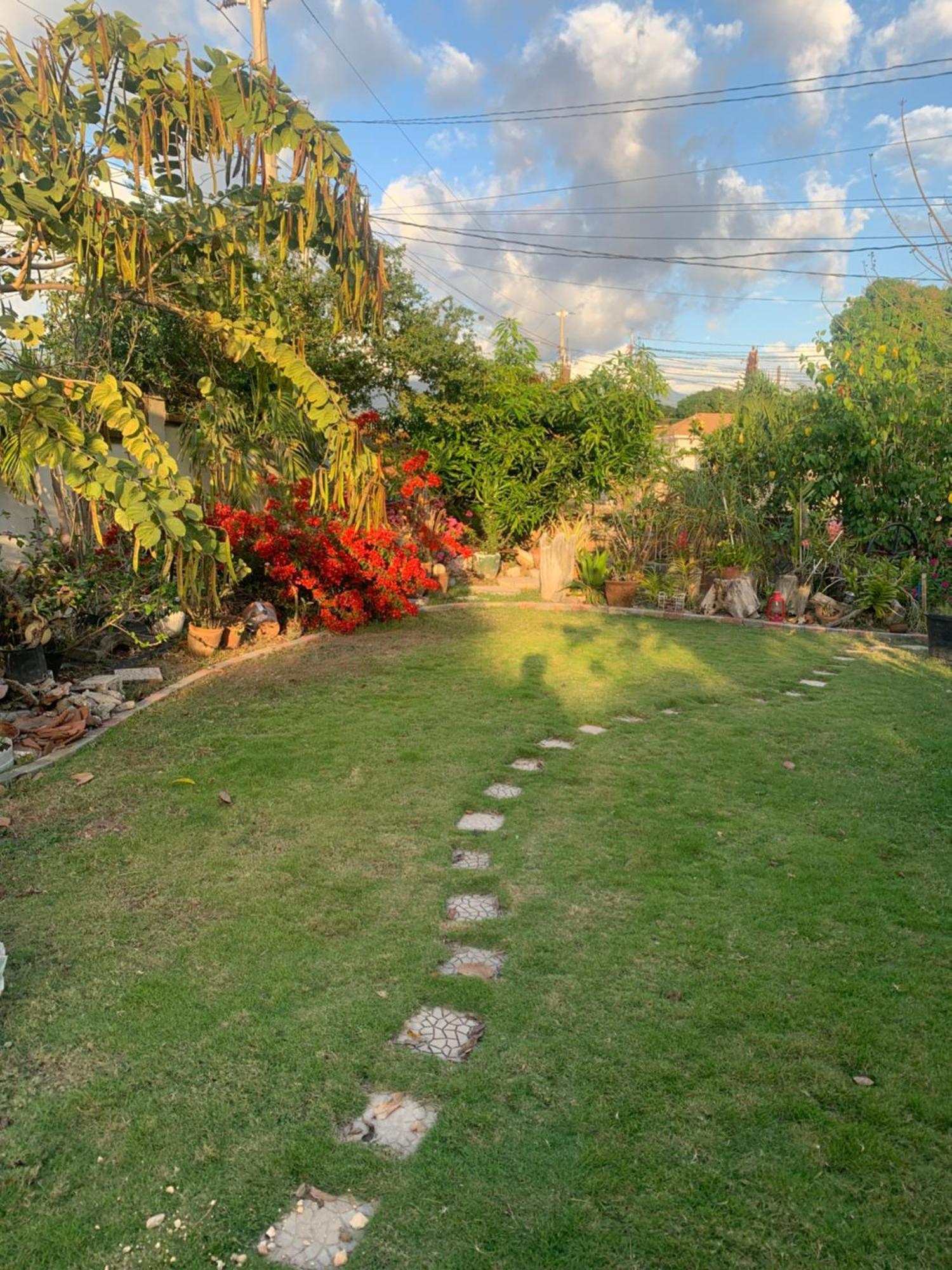 Hidden Gem Apartment คิงส์ตัน ภายนอก รูปภาพ